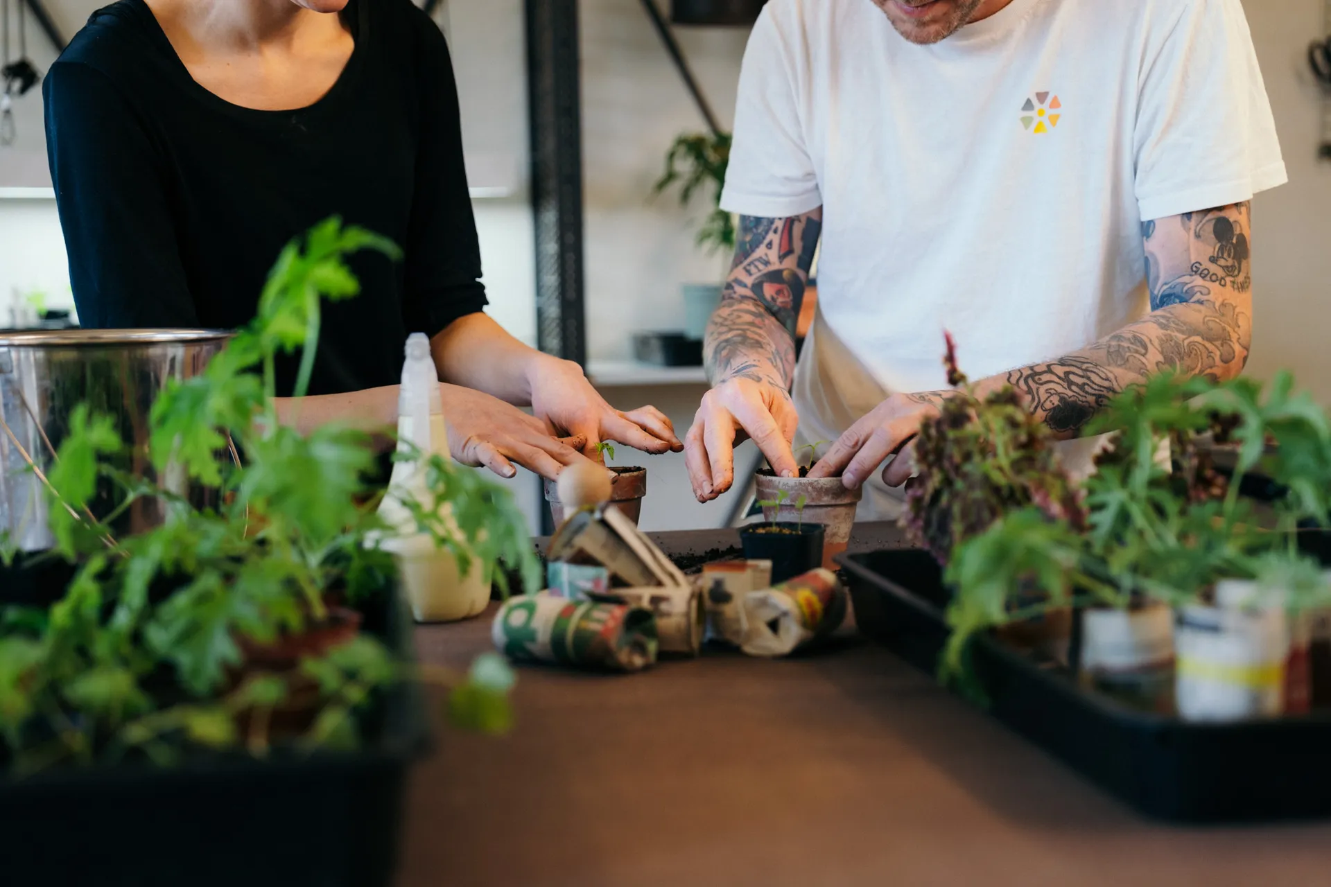 Främja Natur - Daglig verksamhet på Lidingö