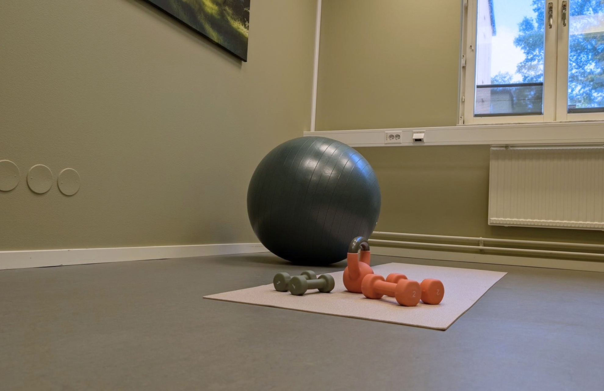 Pilatesboll och handlar på en matta i ett träningsrum
